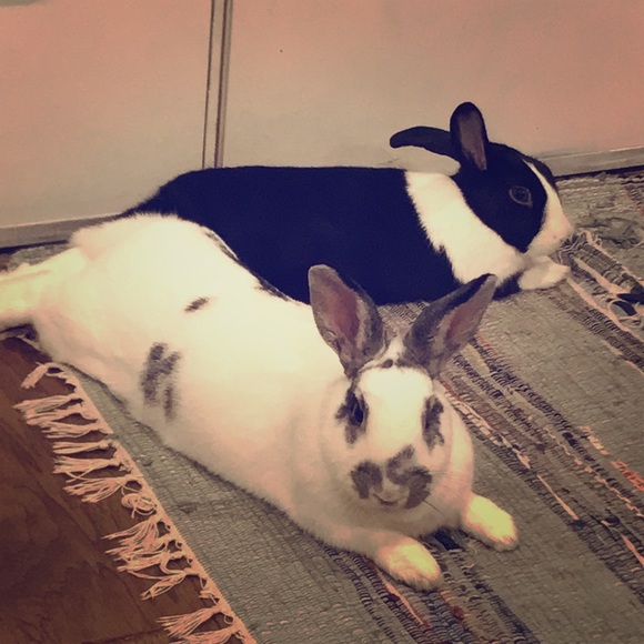 Meet your Posher, Jean - Picture 1 of 1